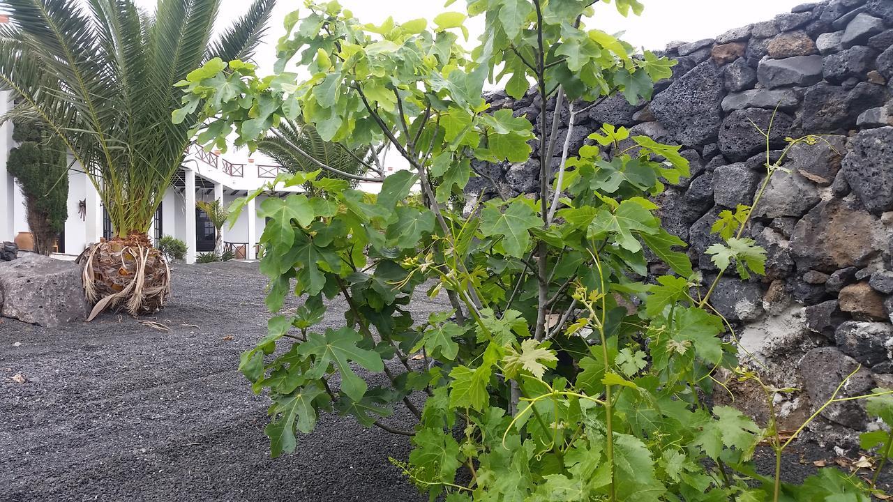 Finca Fajardo La Vegueta Kültér fotó